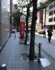 前面道路1