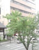 室内（その他1）