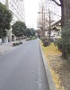 前面道路1