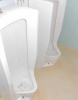 トイレ2