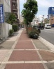 前面道路2