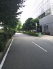 前面道路2