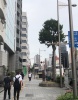 前面道路2