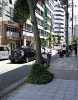 前面道路1