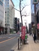 前面道路1