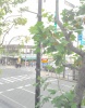 室内（その他2）