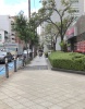 前面道路2