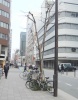 前面道路1