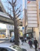 前面道路2