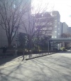 前面道路1