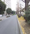 前面道路1