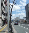 前面道路1