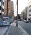 前面道路1