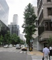 前面道路1