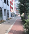 前面道路1