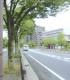 前面道路1