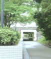 前面道路2
