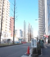 前面道路1