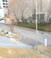 前面道路1