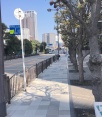 前面道路1