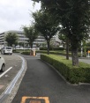 前面道路2