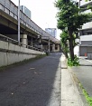 前面道路1