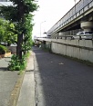 前面道路2