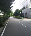 前面道路2