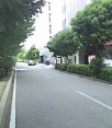 前面道路2