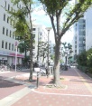 前面道路1