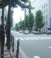 前面道路2