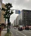 前面道路1