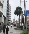 前面道路2