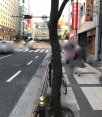 前面道路1