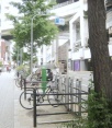 前面道路2