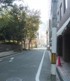 前面道路2