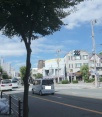 前面道路2