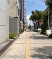 前面道路2