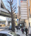 前面道路2