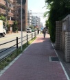 前面道路2