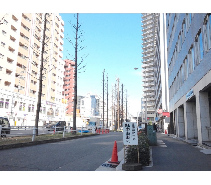 前面道路1