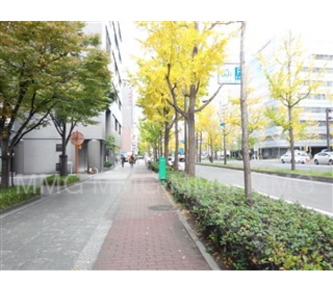 前面道路2