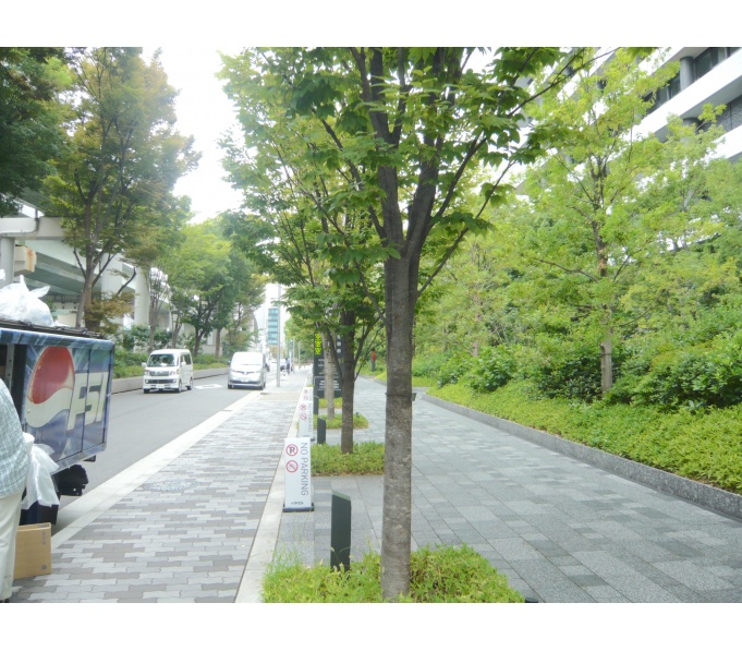 前面道路2