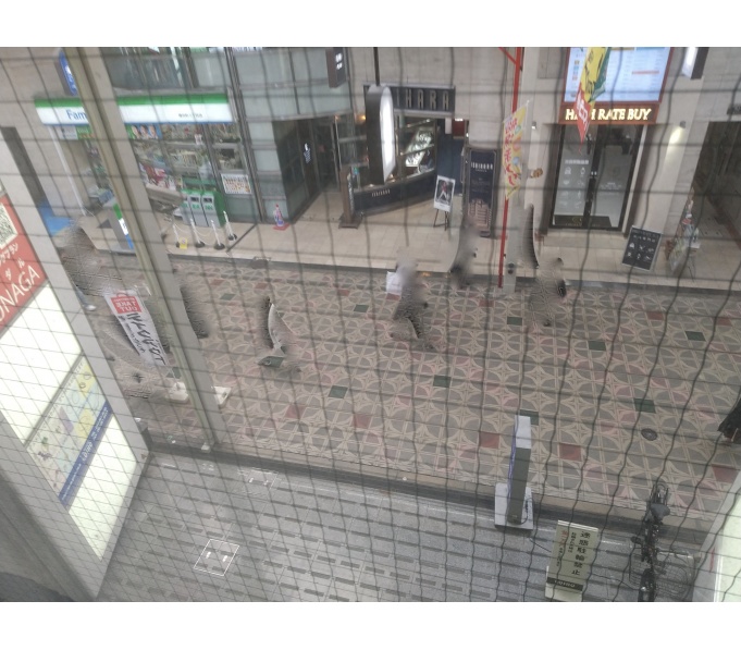 室内(その他1)