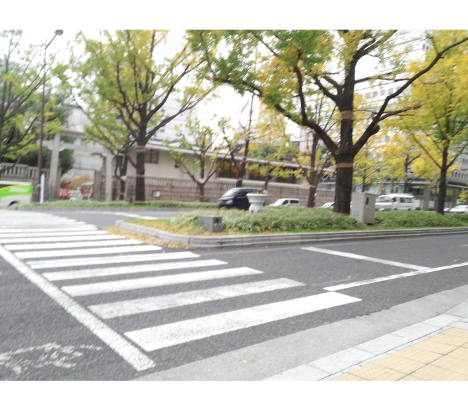 前面道路2