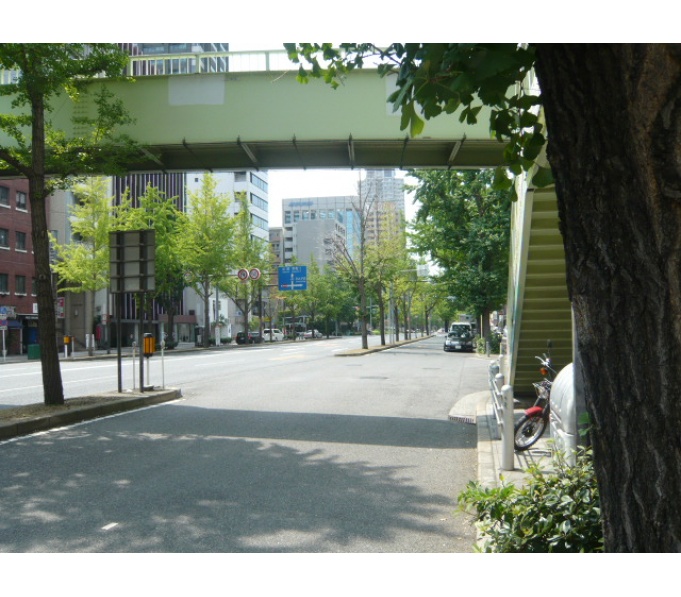 前面道路1