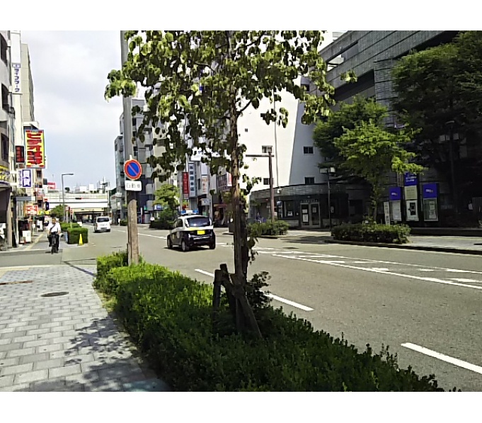 前面道路1