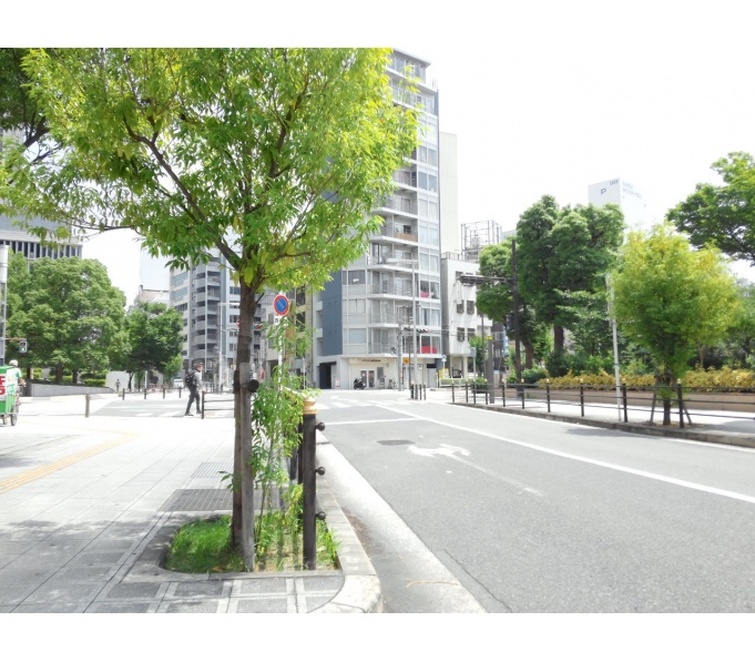 前面道路1