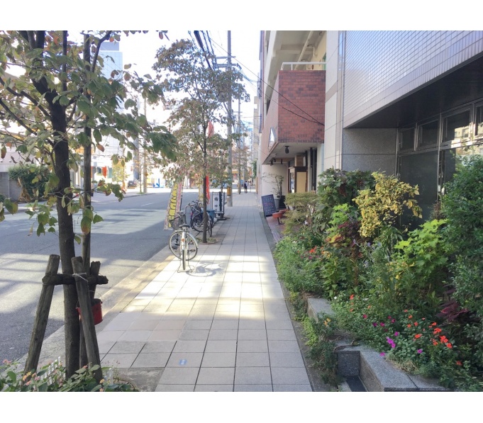 前面道路2