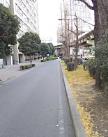 前面道路1